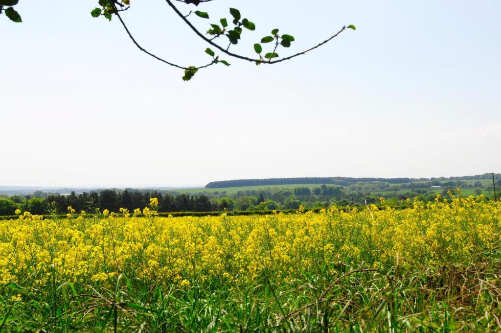 Riding Farm Bed and Breakfast Gateshead Esterno foto