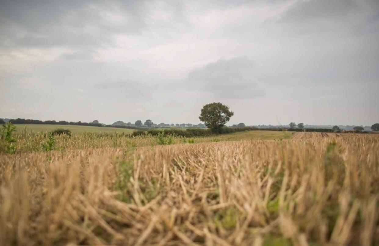 Riding Farm Bed and Breakfast Gateshead Esterno foto