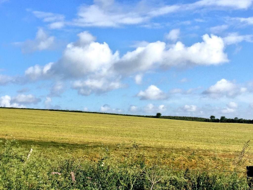 Riding Farm Bed and Breakfast Gateshead Esterno foto