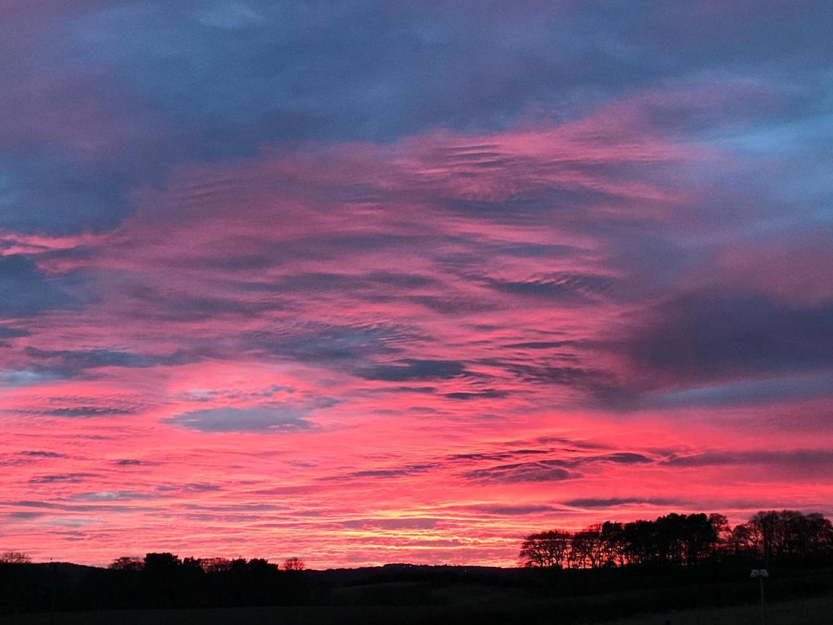 Riding Farm Bed and Breakfast Gateshead Esterno foto