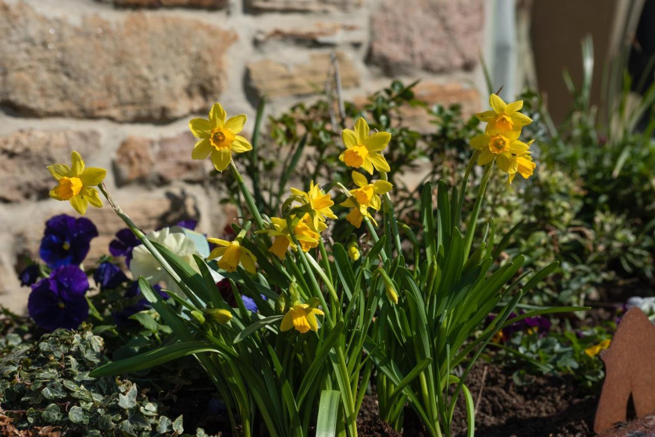 Riding Farm Bed and Breakfast Gateshead Esterno foto